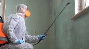 Why You Should Choose Our Mold Remediation Services in Livingston, MT